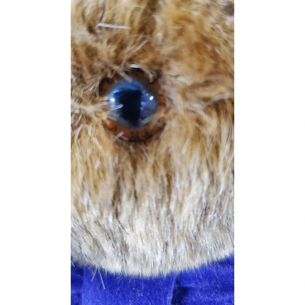 The Vermont Teddy Bear Company Jointed Bear with Ouchy‎ Paw
